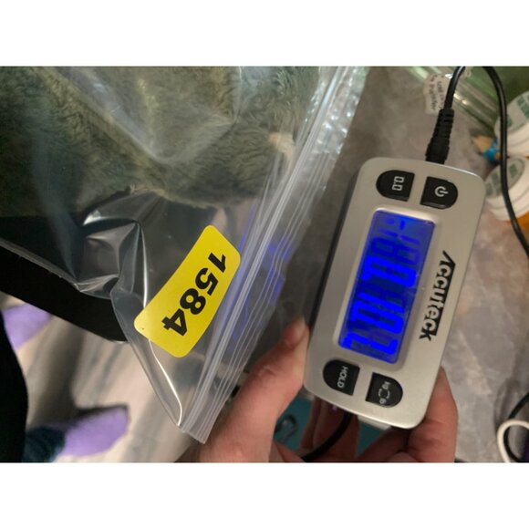 Mary Myers Floppy 10 Inch Green Frog Worn Tags Brown Plastic Eyes Plush Stuffed - Picture 10 of 10